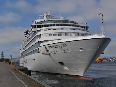 Cruise Ships