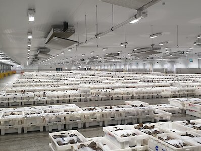 Phased capacity increase for fish market
