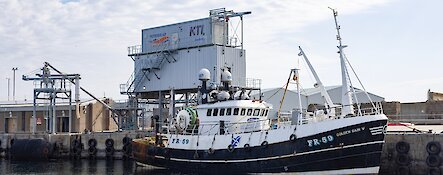 Peterhead Ice