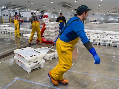 Port announces record-breaking landings figures